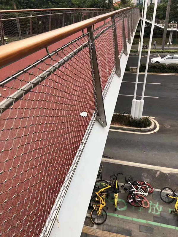 tq01.jpg